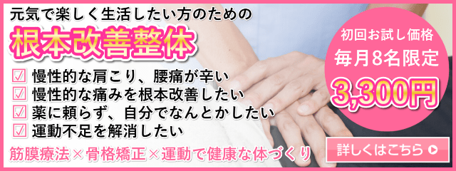 根本改善整体 640×240 毎月8名