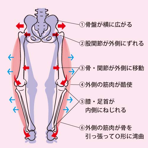 画像の説明