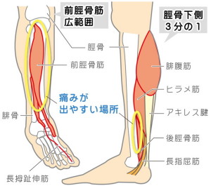 画像の説明