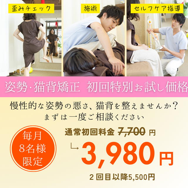 姿勢・猫背矯正　オファー価格3980円