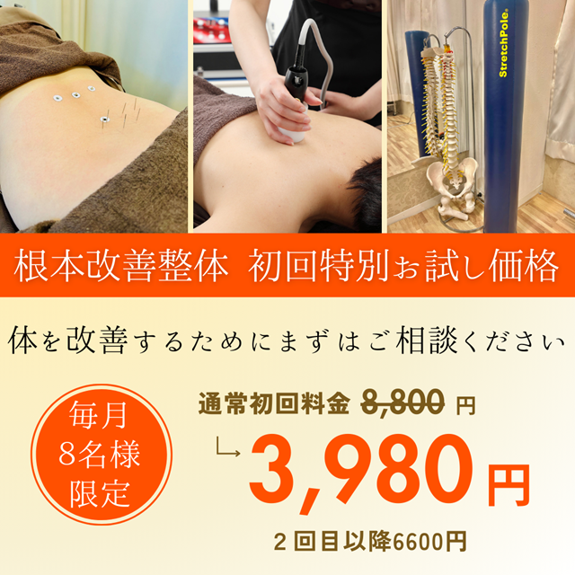 根本改善整体 オファー 