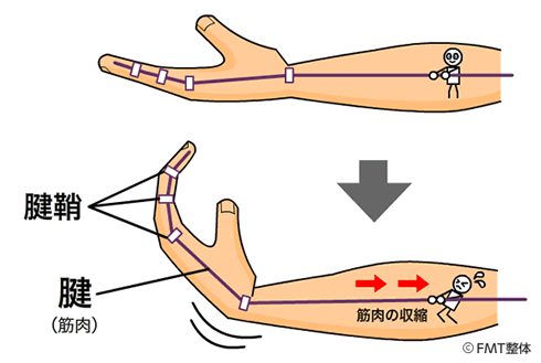 画像の説明