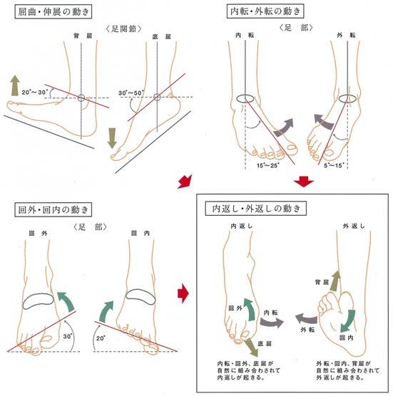 画像の説明