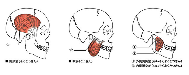 画像の説明